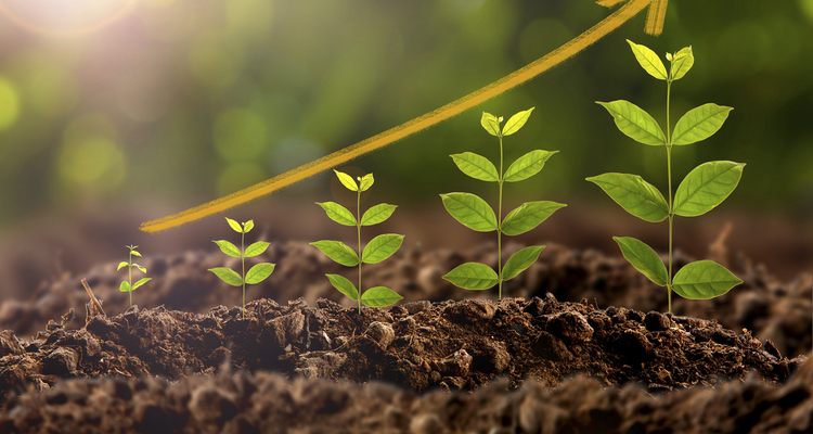 初心者必見！リードナーチャリングで結果を出すための基礎知識